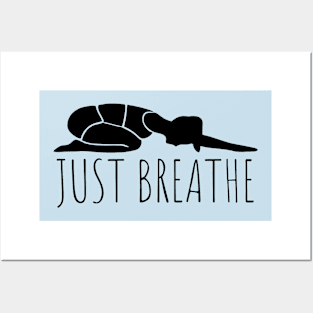 Just Breathe Yoga Posters and Art